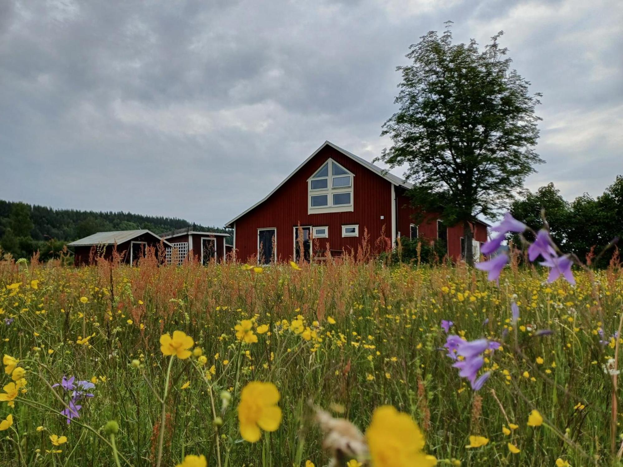 Ladansloft Stöllet Exterior foto